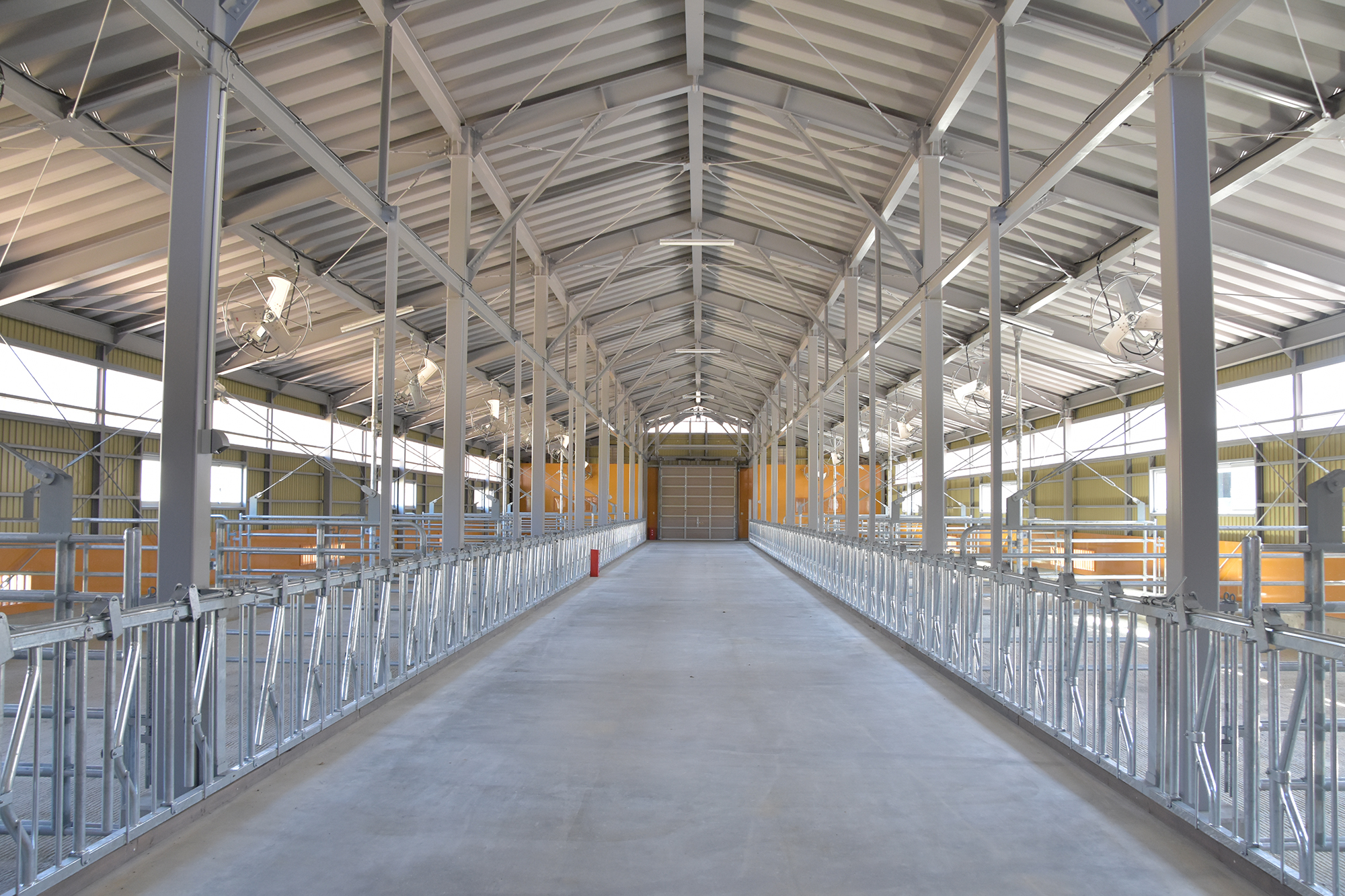 育成牛舎内部