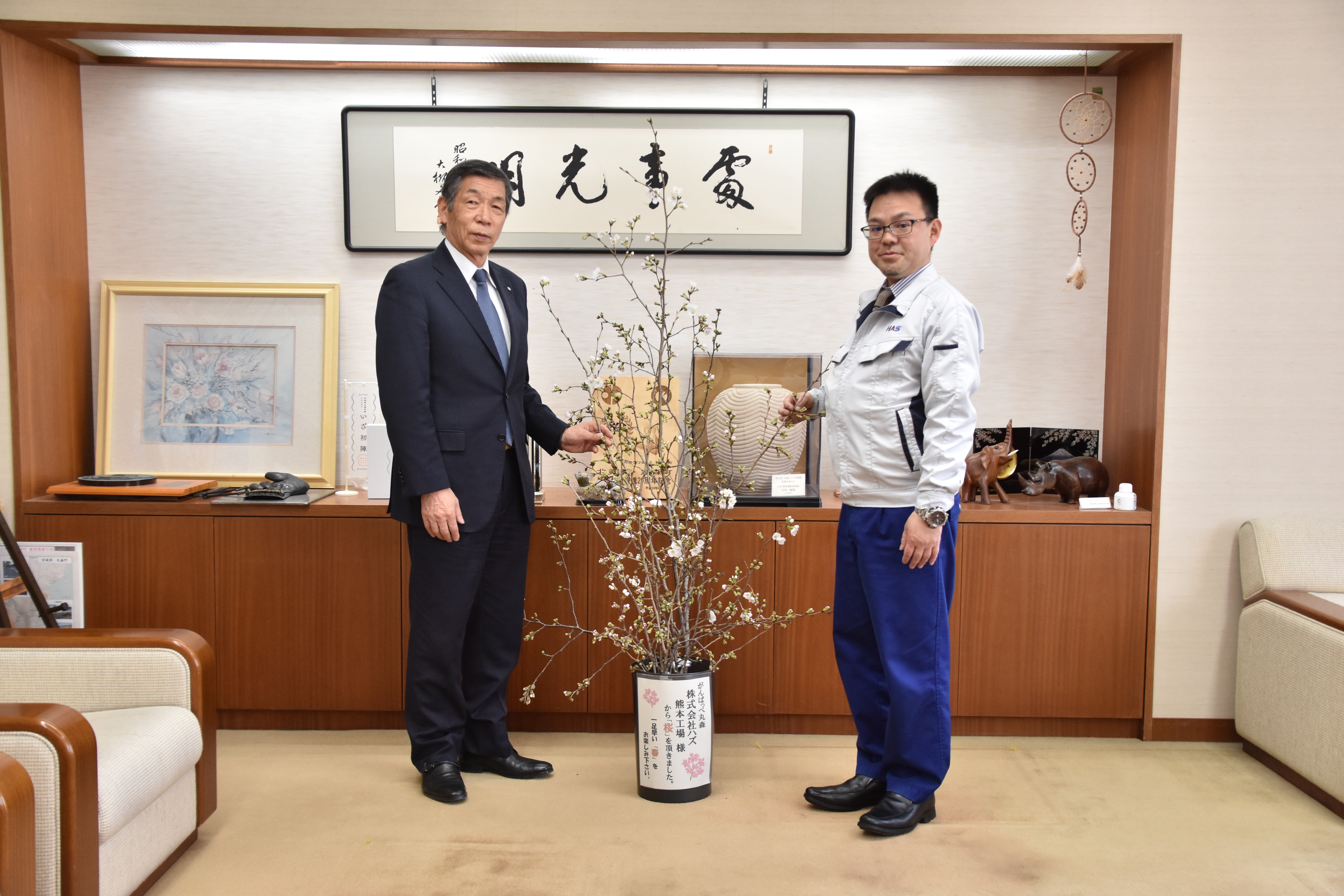 株式会社ハズより桜の寄贈写真