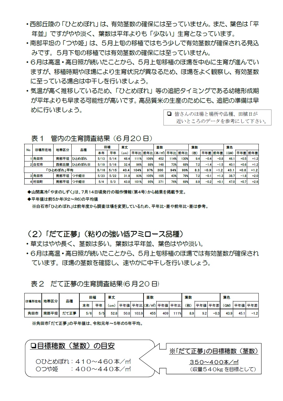 稲作情報②