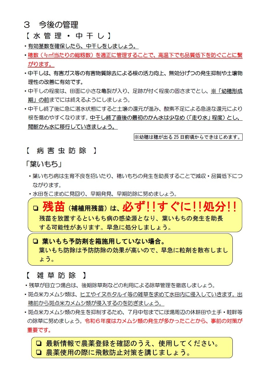 稲作情報③