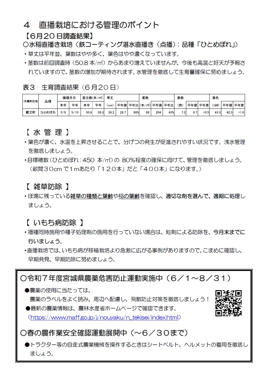 稲作情報④