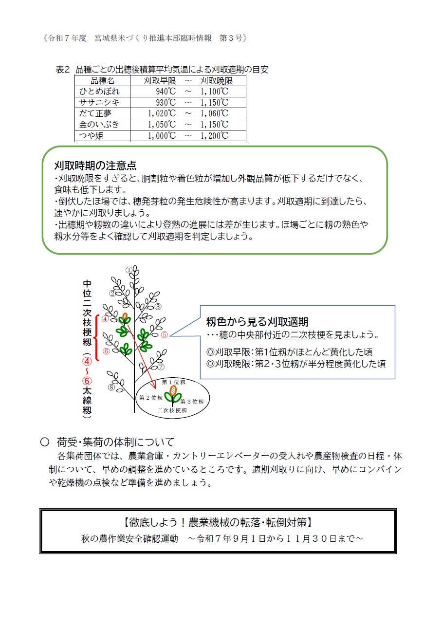 米づくり②