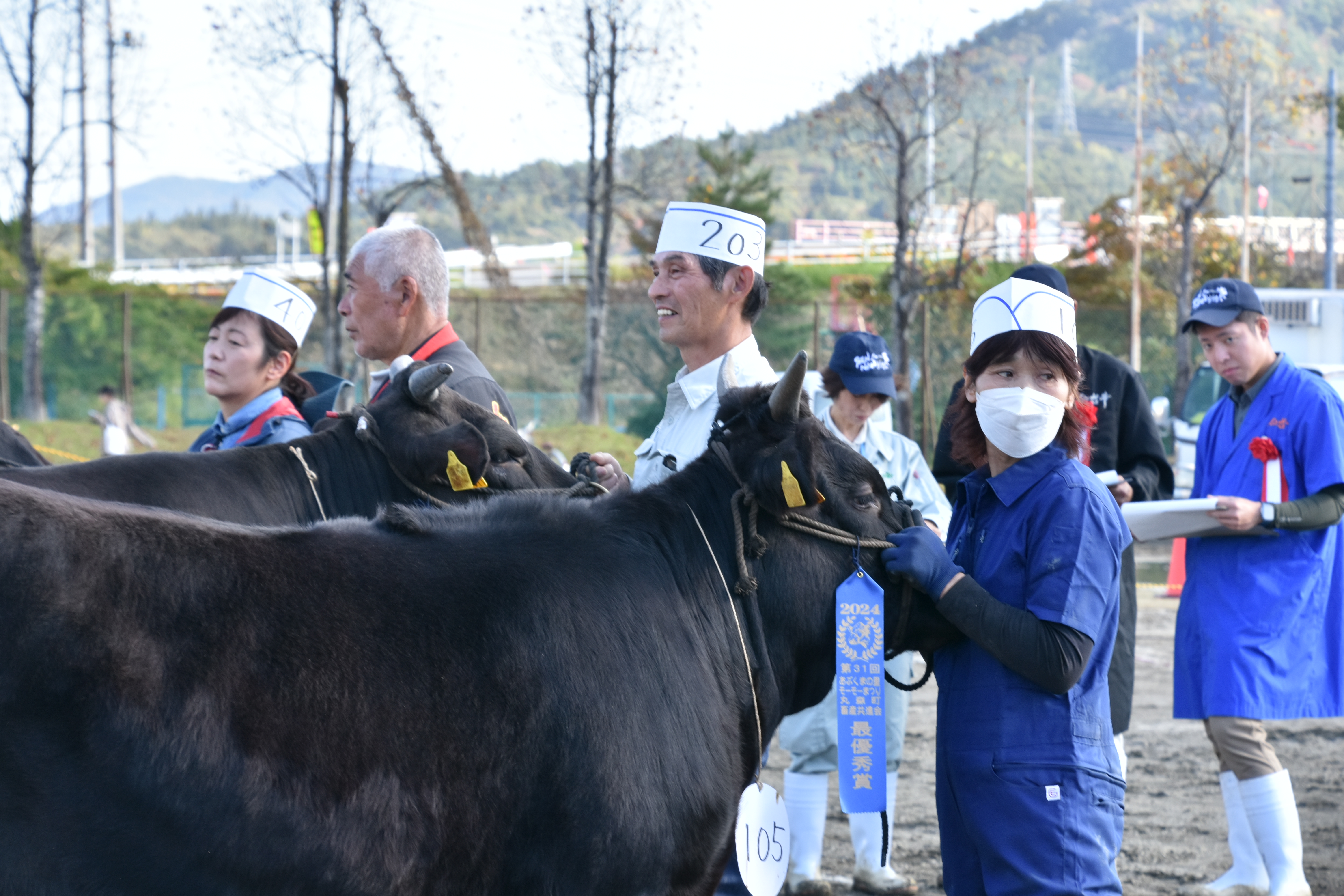 肉用牛の部