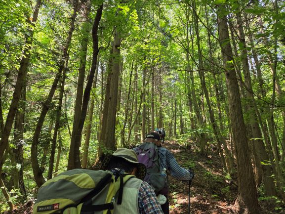 次郎太郎山への登り