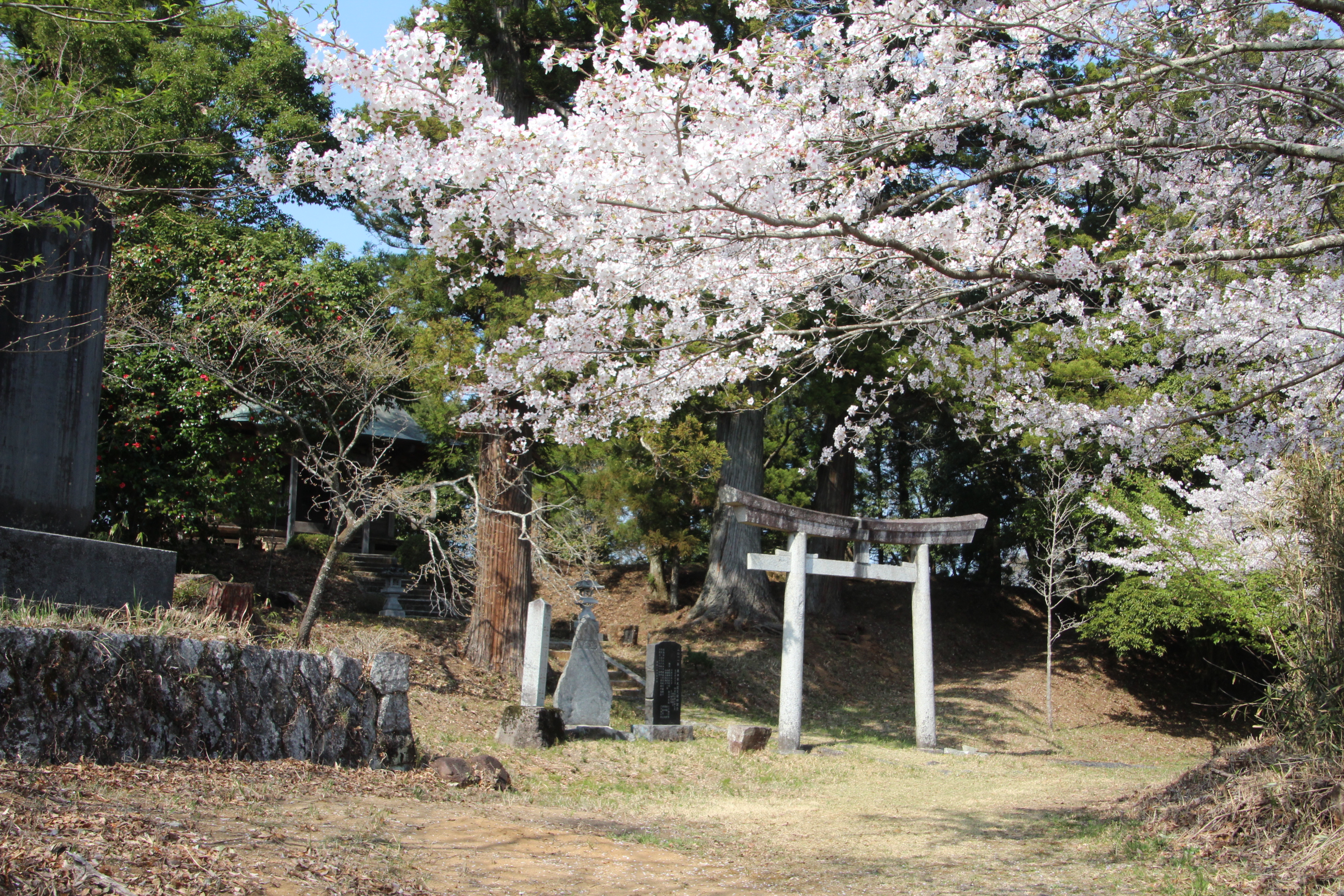 山田地区厳島神社（弁天さん）