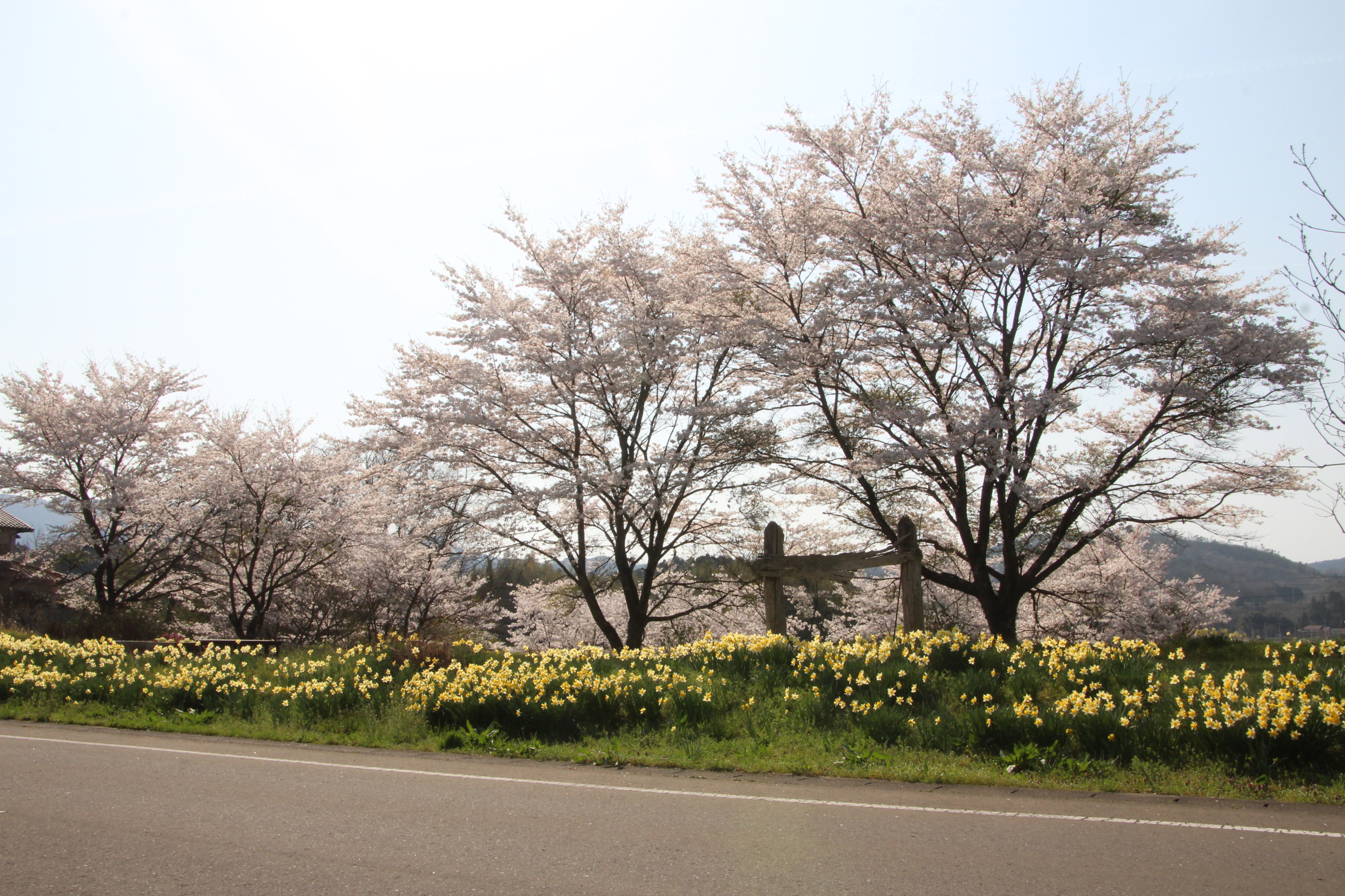 木沼地区町道北丸森駅前線沿い