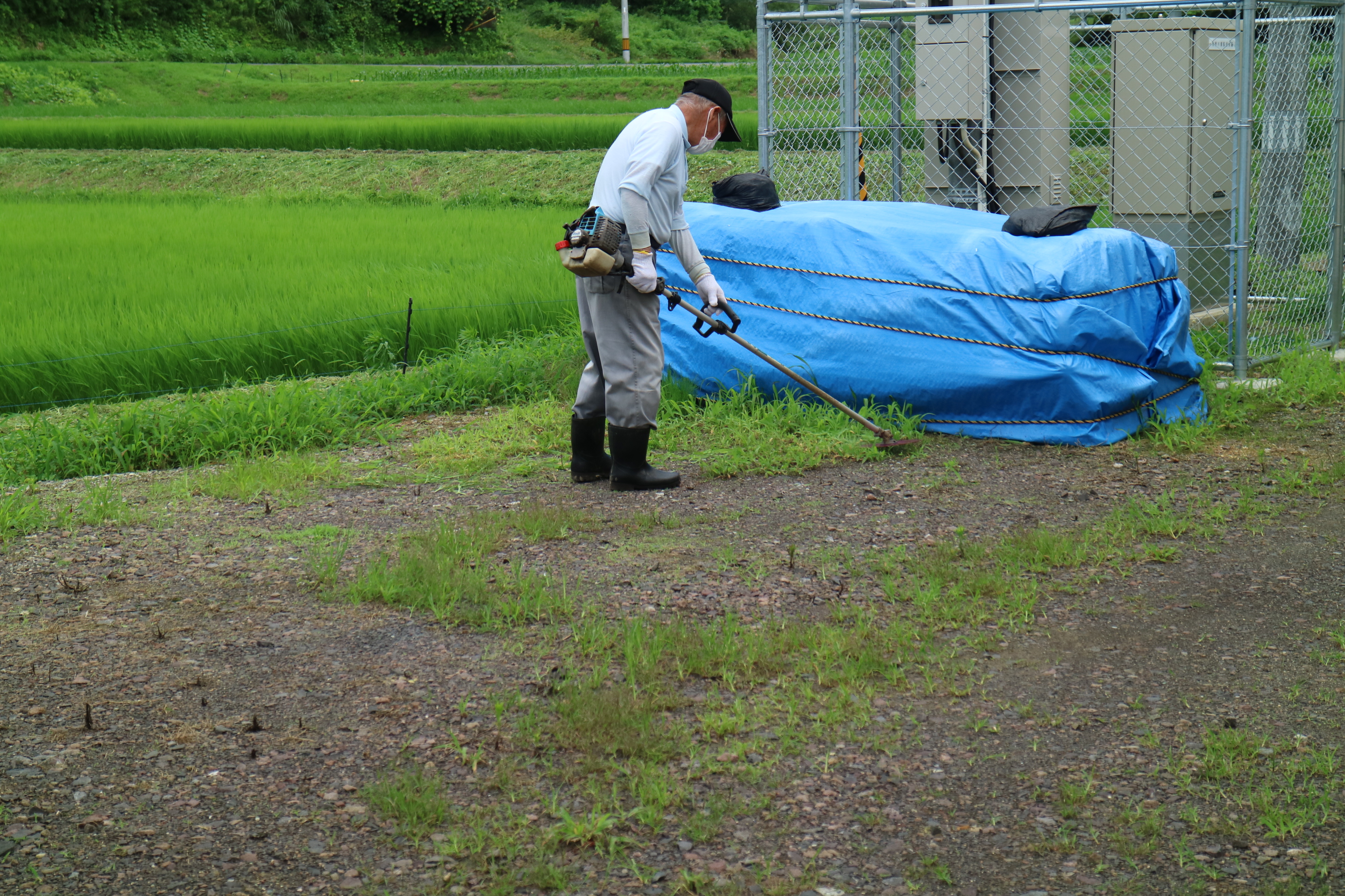 まちセン周辺草刈り