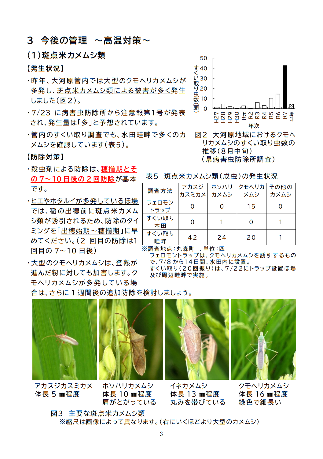 稲作情報３