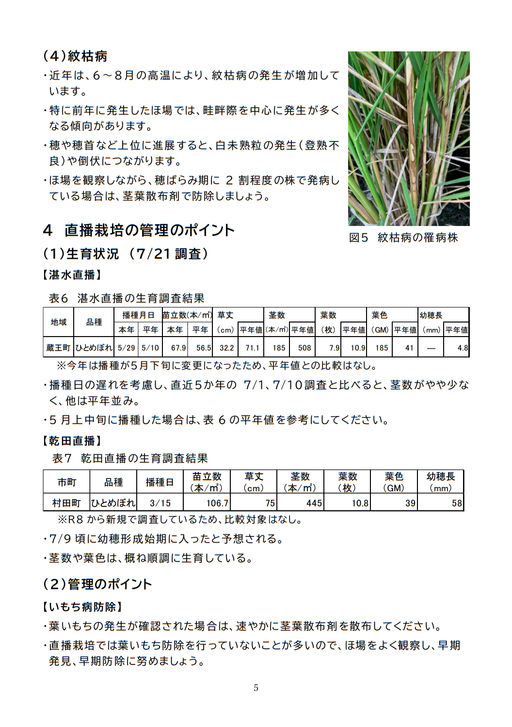 稲作情報５