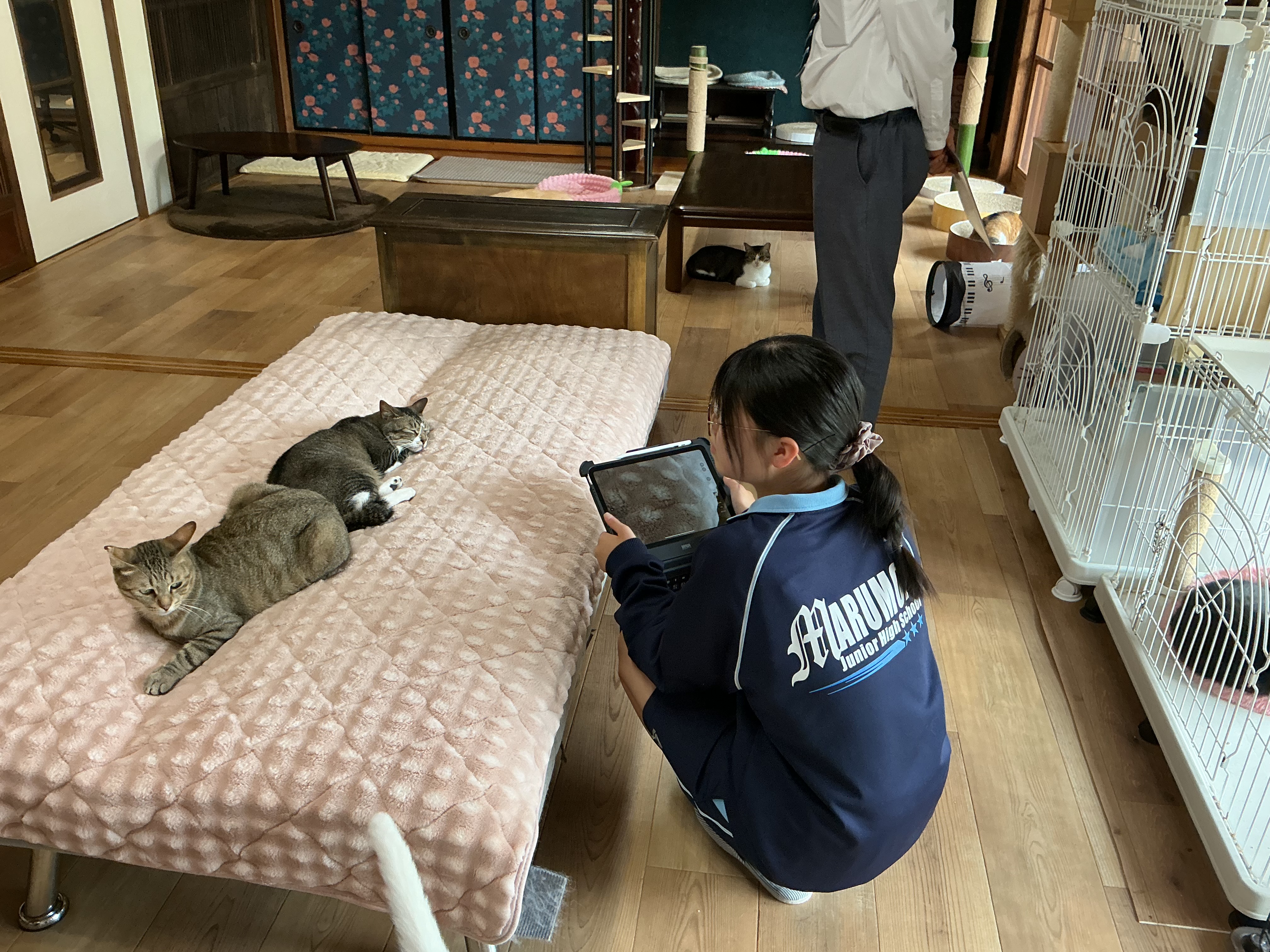 猫カフェ②