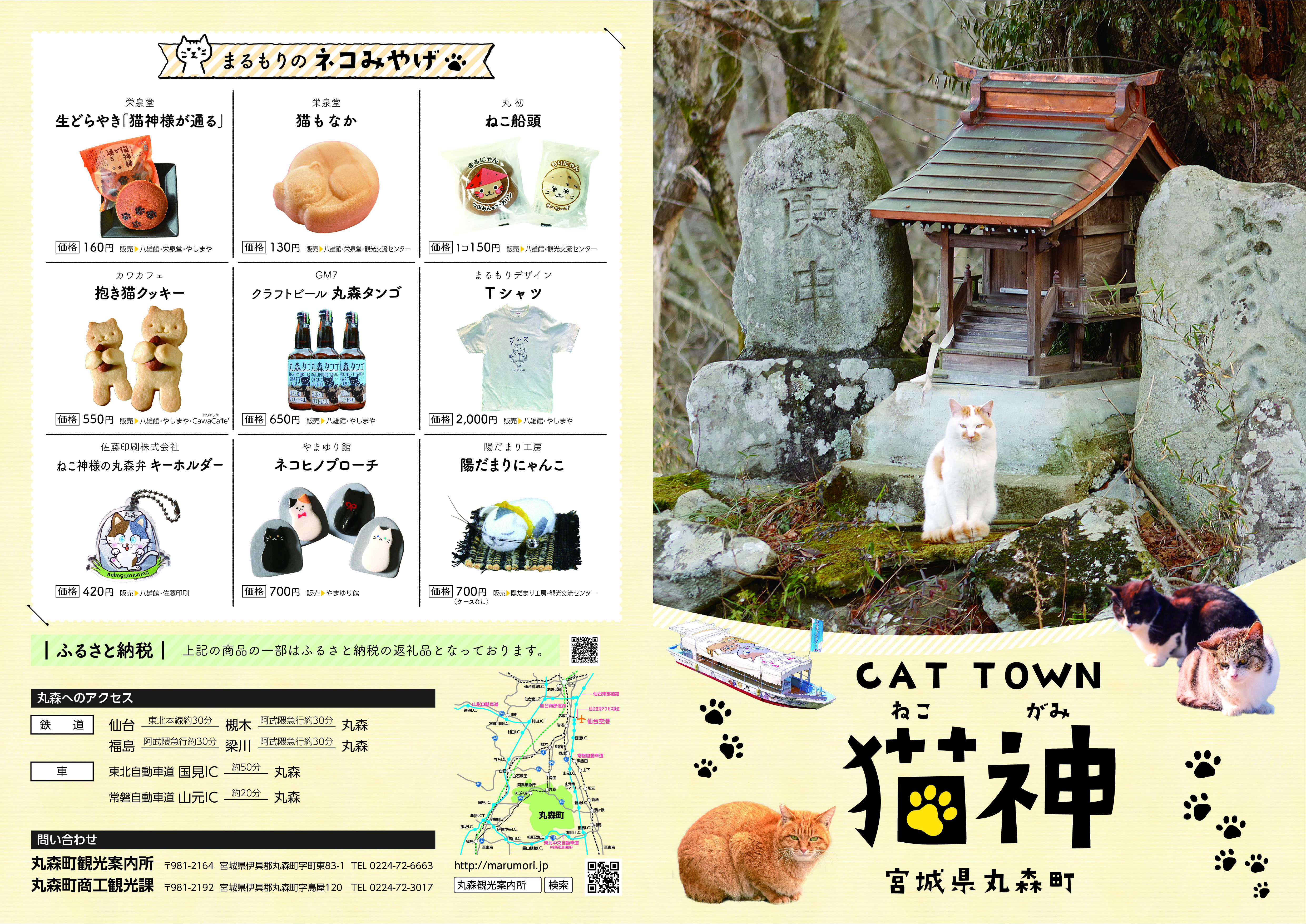 ねこかみパンフレット