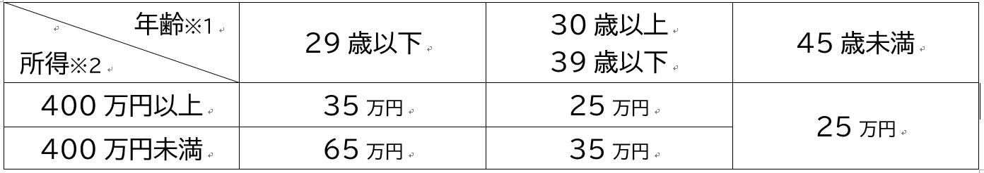 世帯の所得が400万円未満かつ夫婦双方の年齢が29歳以下のとき 上限額65万円、世帯の所得が400万円未満かつ夫婦双方の年齢が29歳以下のとき 上限額35万円、世帯の所得が400万円未満かつ夫婦双方の年齢が39歳以下のとき 上限額35万円、いずれにも該当しないとき 上限額25万円