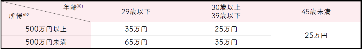 世帯の所得が500万円未満かつ夫婦双方の年齢が29歳以下のとき　上限額65万円、世帯の所得が500万円未満かつ夫婦双方の年齢が29歳以下のとき　上限額35万円、世帯の所得が500万円未満かつ夫婦双方の年齢が39歳以下のとき　上限額35万円、いずれにも該当しないとき　上限額25万円