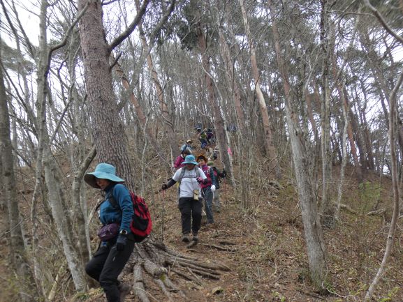 ツボケ山からの下山