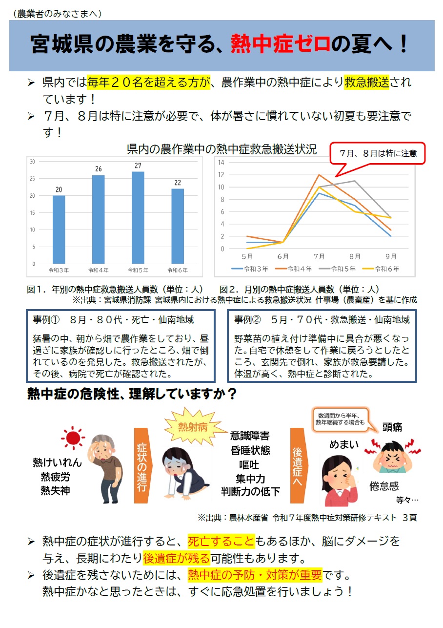 チラシ表