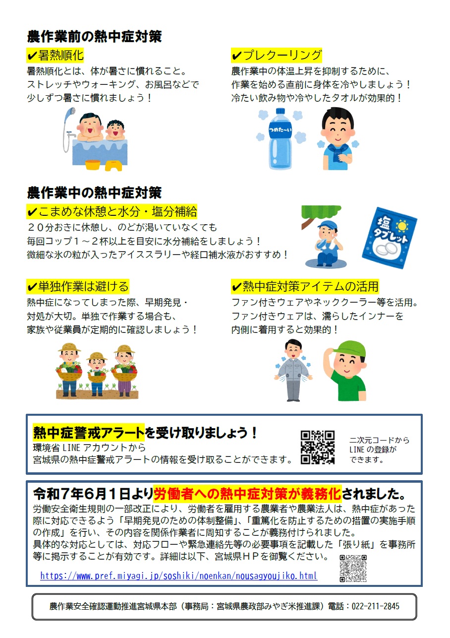 チラシ裏