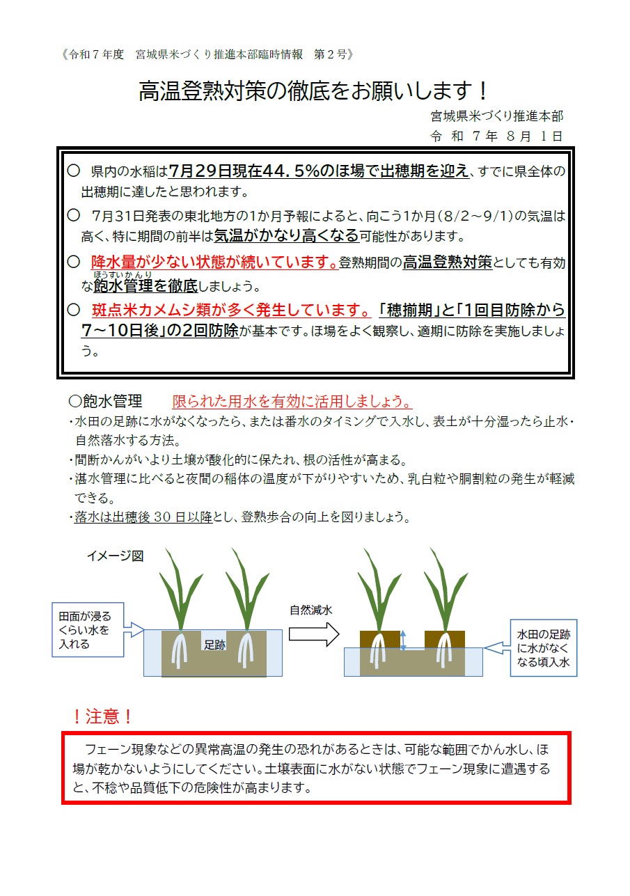 米づくり①