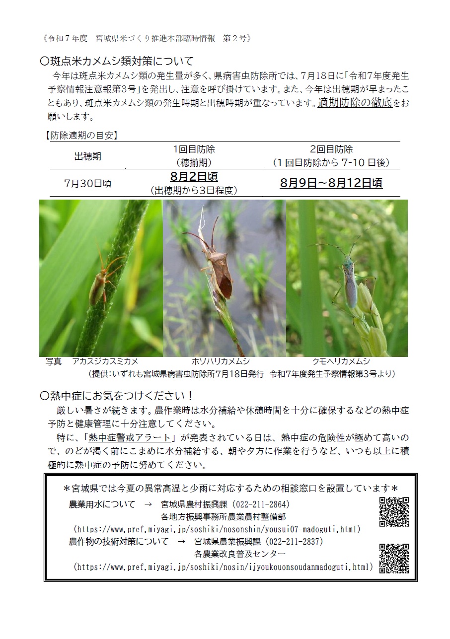 米づくり②
