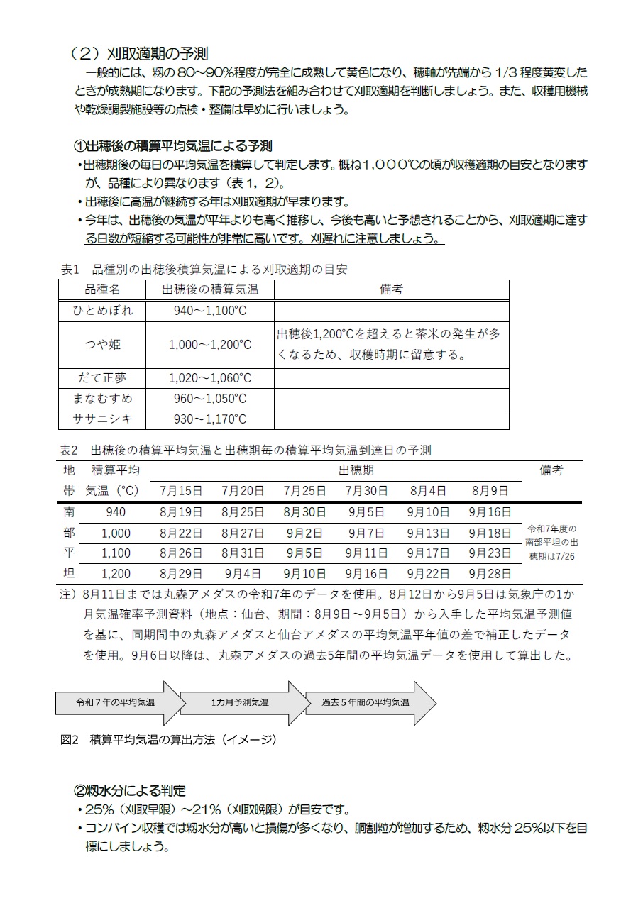稲作情報3