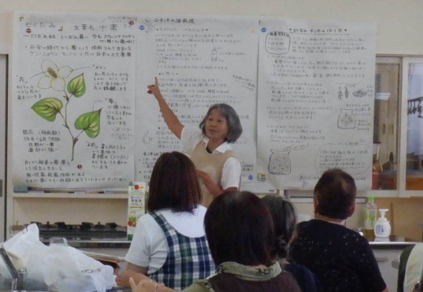 ドクダミの薬効についての講話