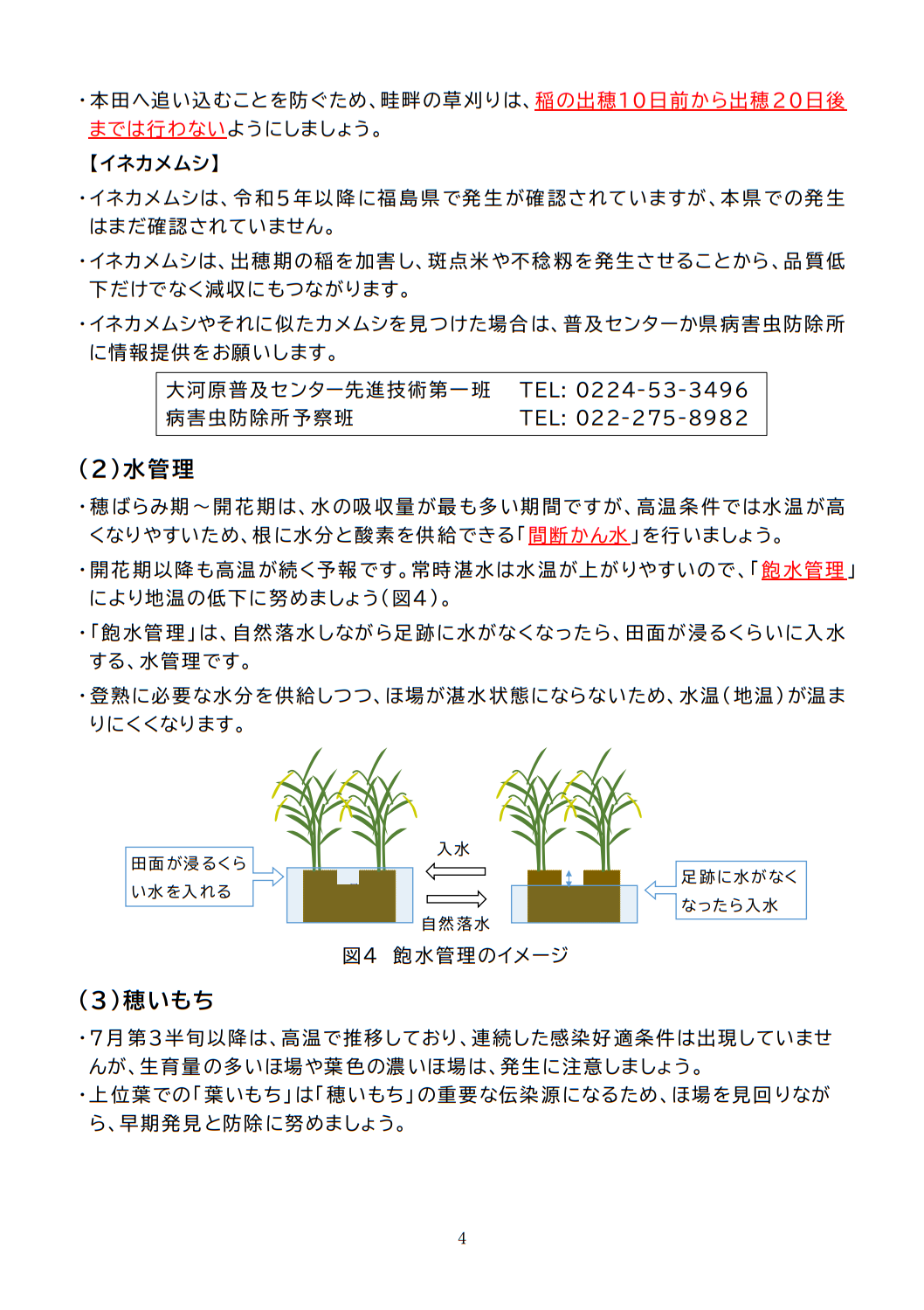 稲作情報４