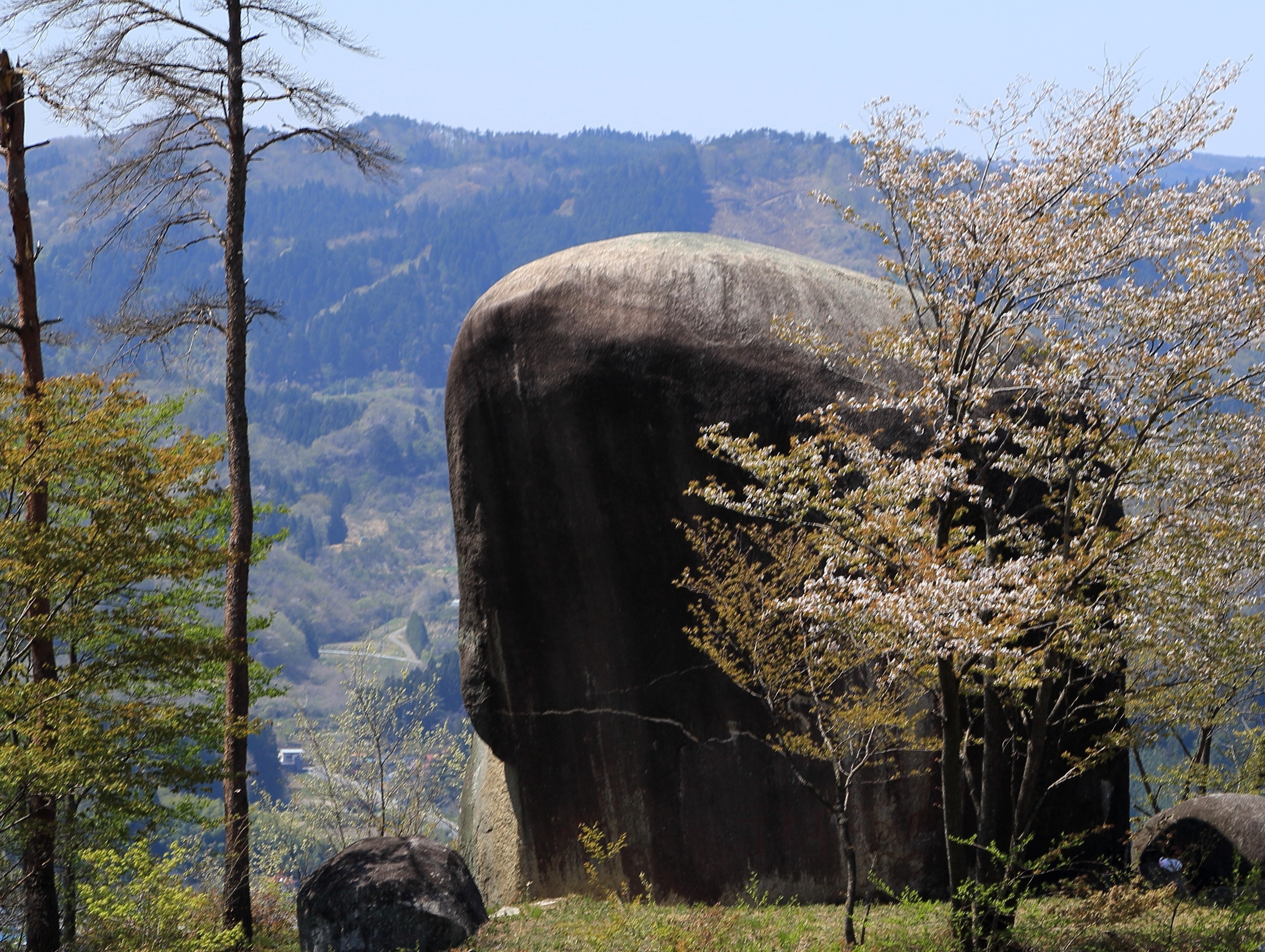 画像2