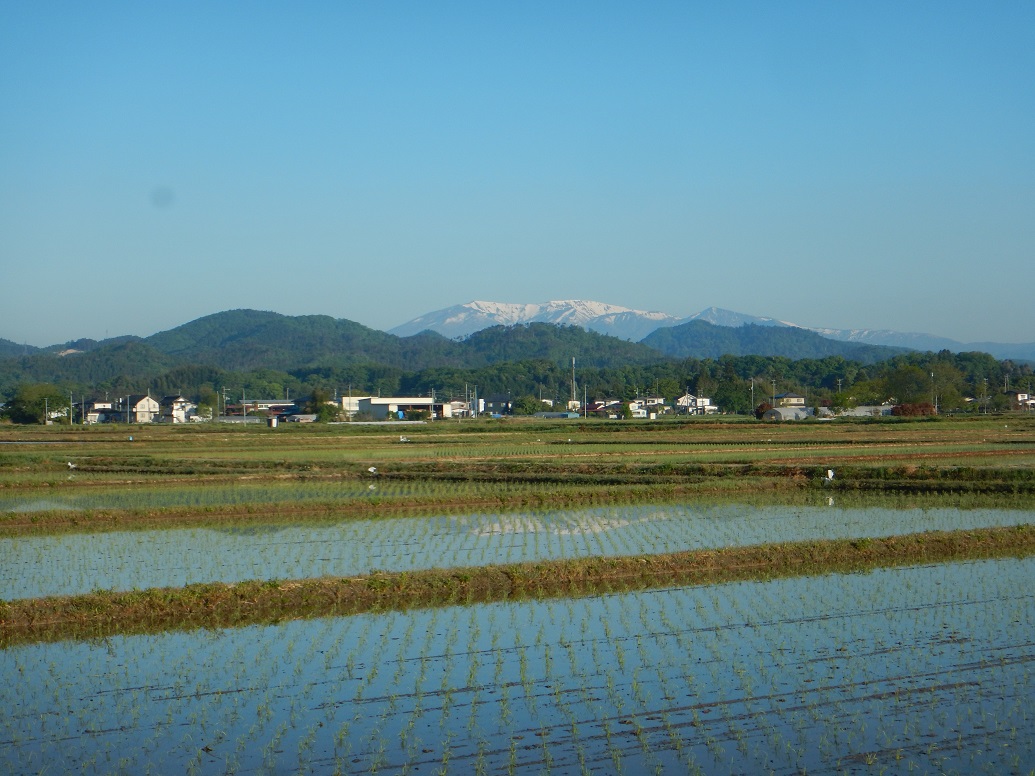 一区地区から望む蔵王連峰