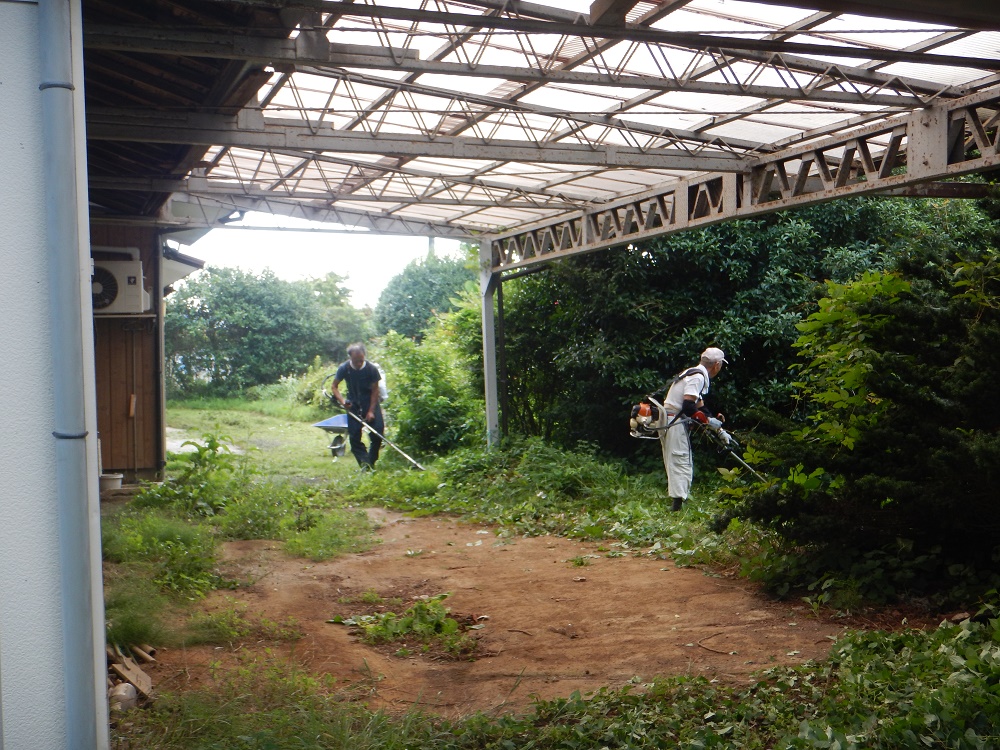 空家の除草