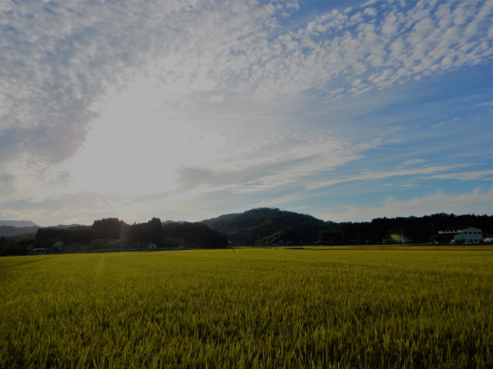 松掛の田園風景