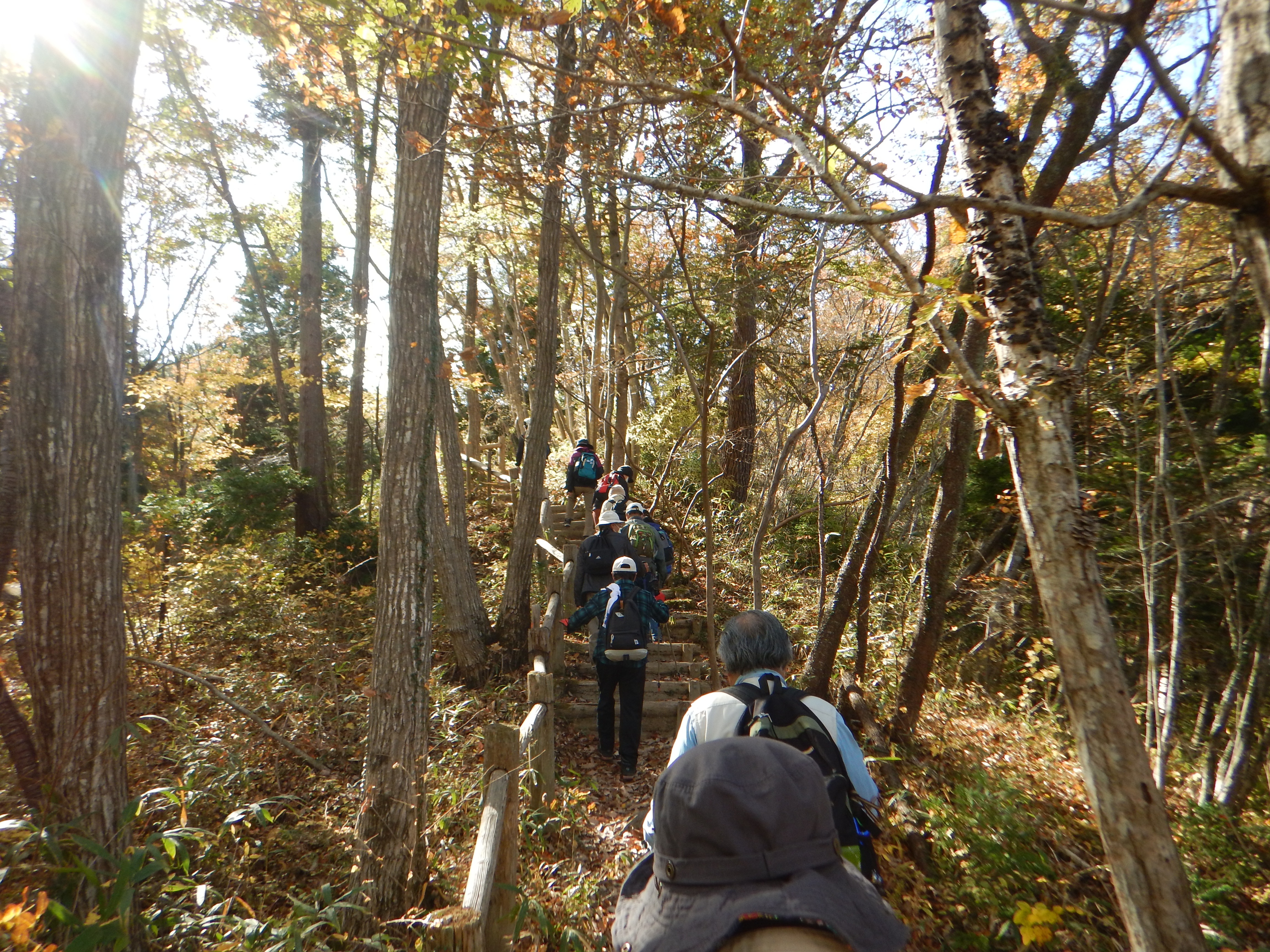 深山で登山