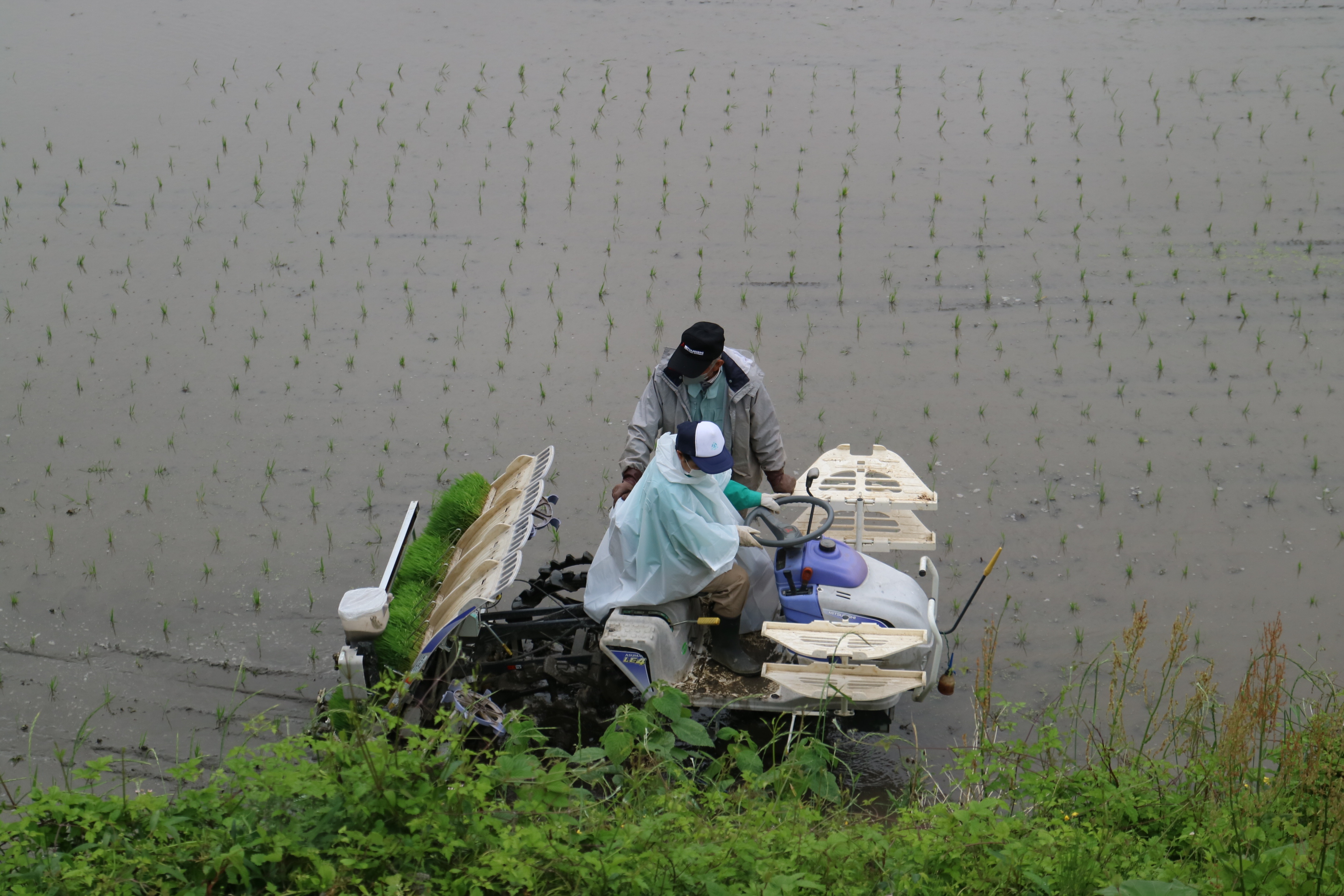 沢尻棚田