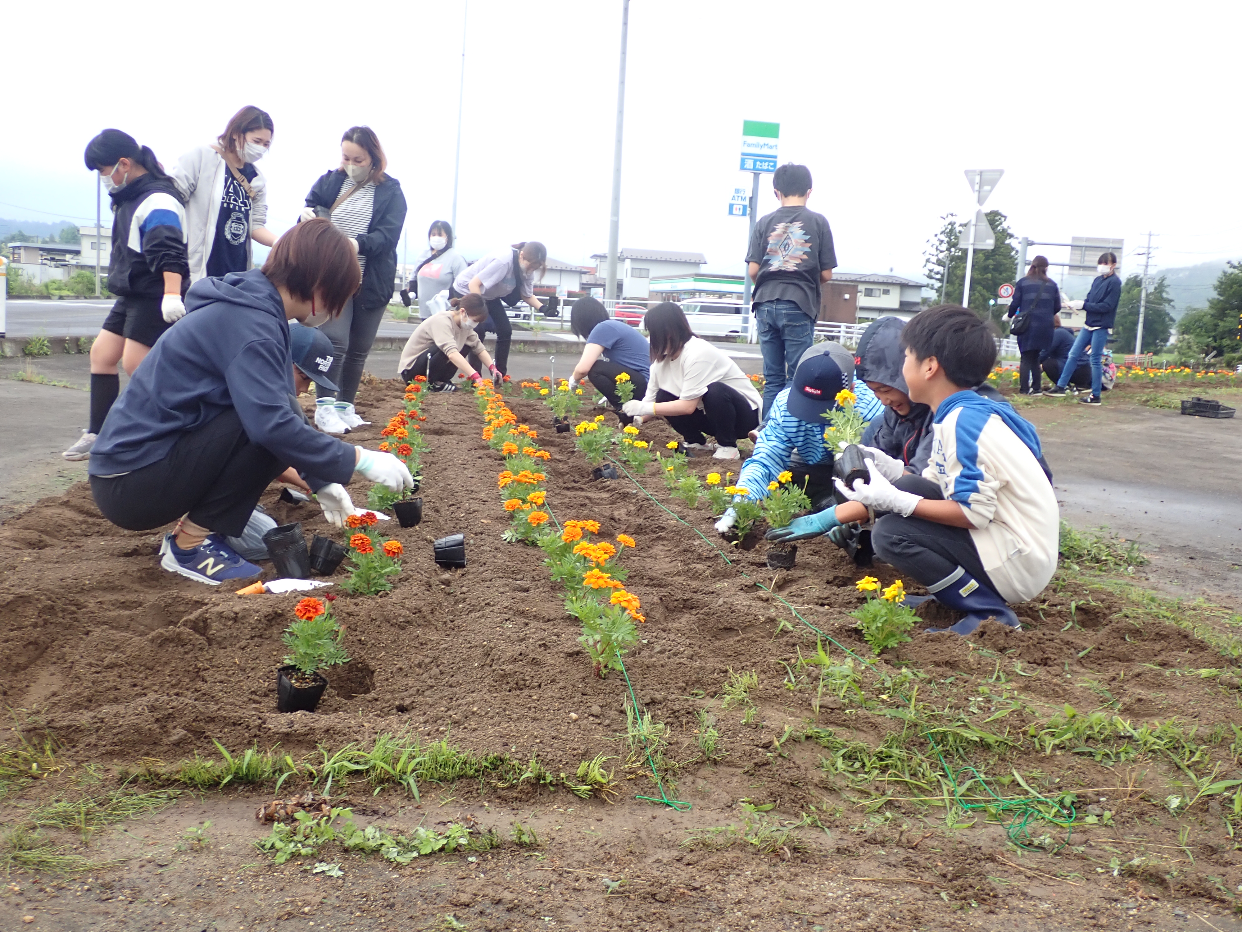 植栽の様子