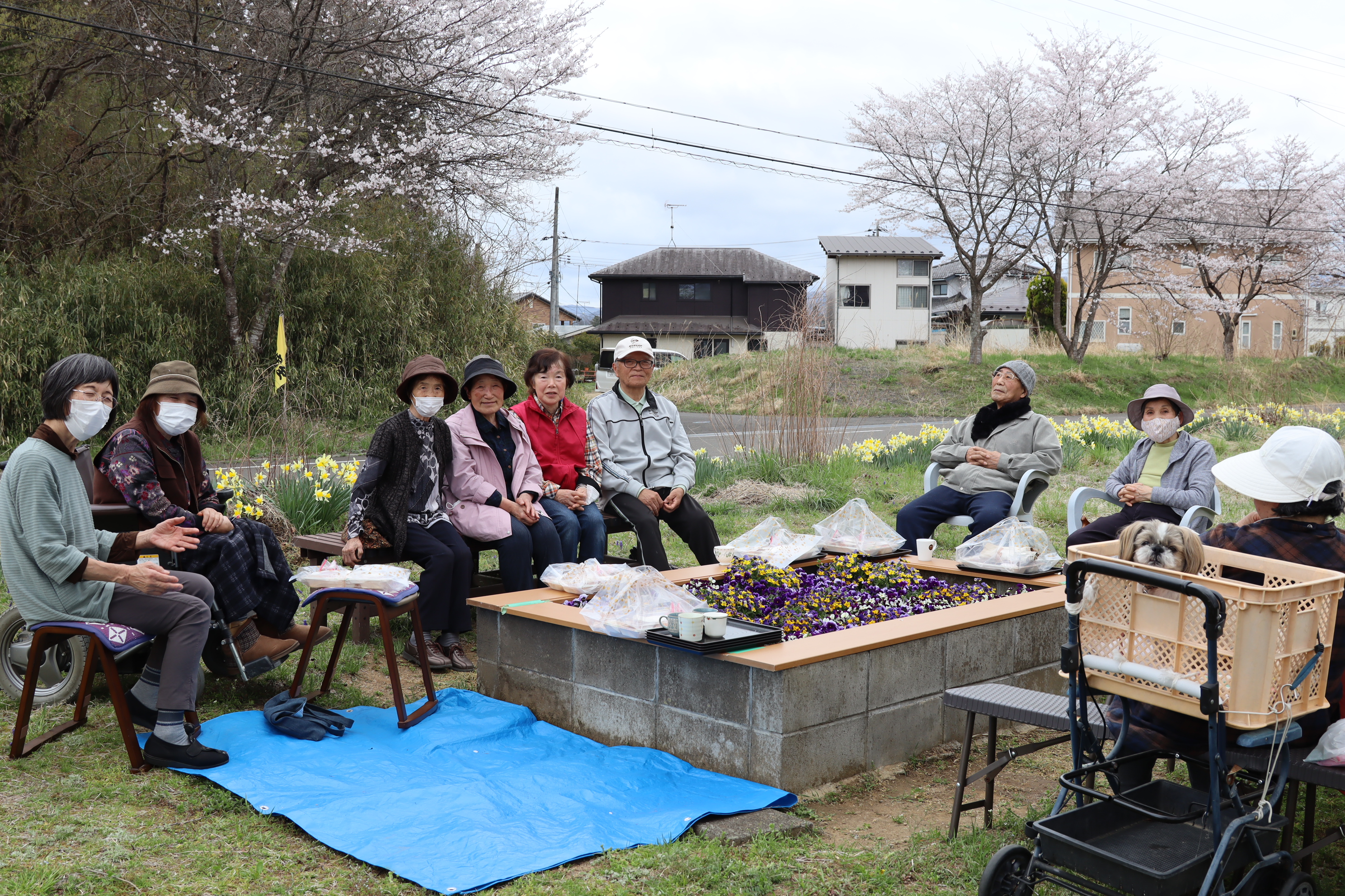 お花見
