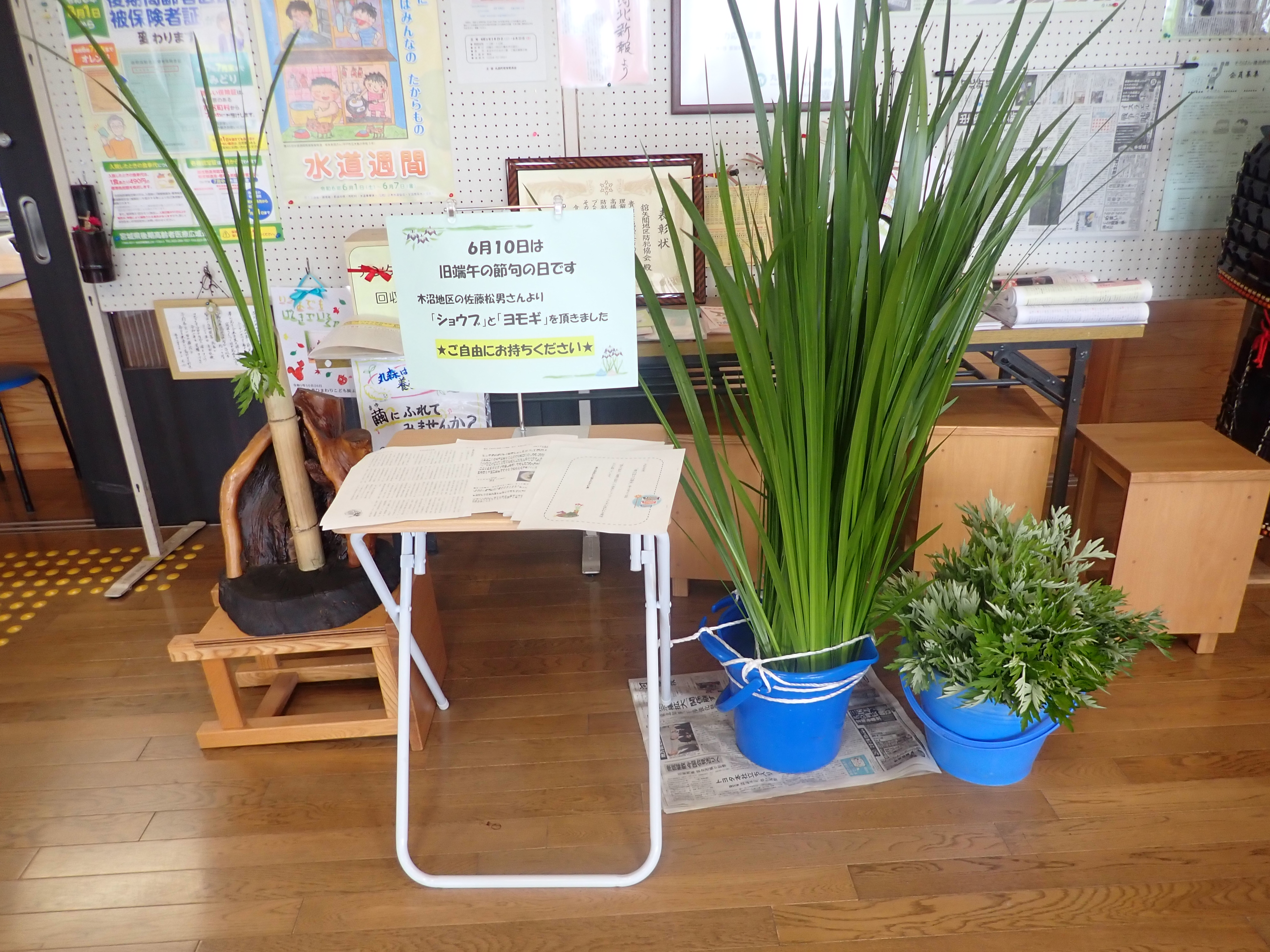 いただいた菖蒲とヨモギ