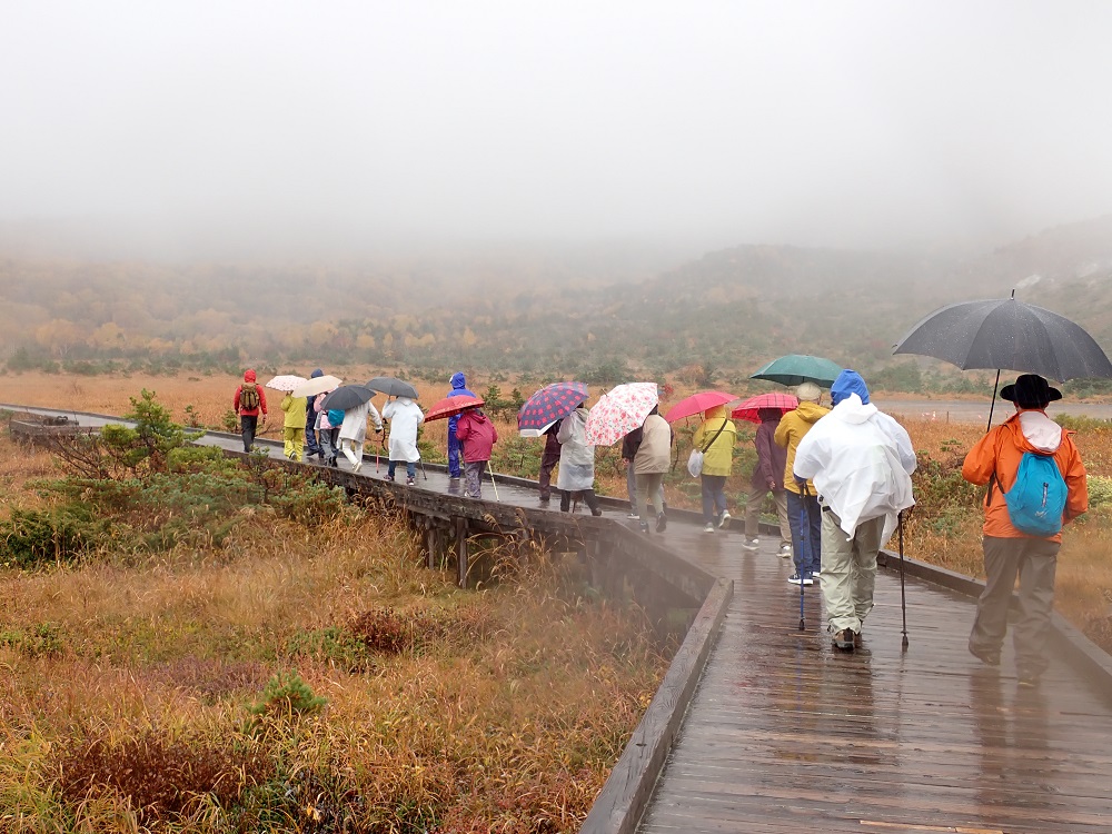 浄土平湿原を散策