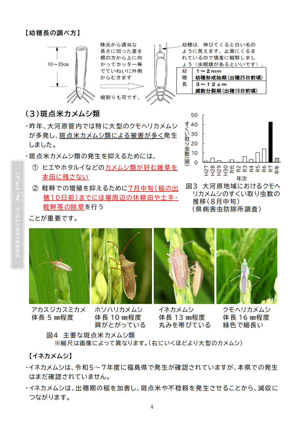 稲作情報４