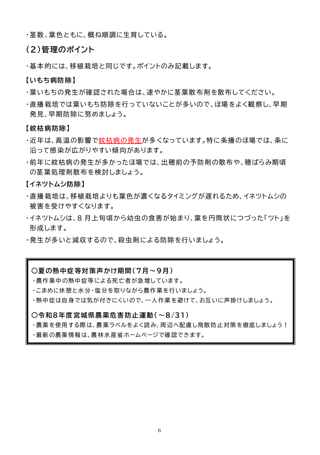 稲作情報６