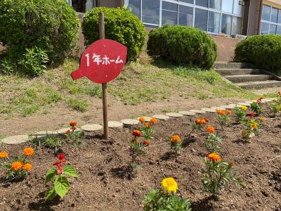 1年生の看板