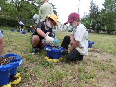 種まきの様子3