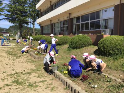 花壇の手入れの様子