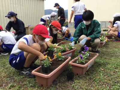 植え替えの様子2