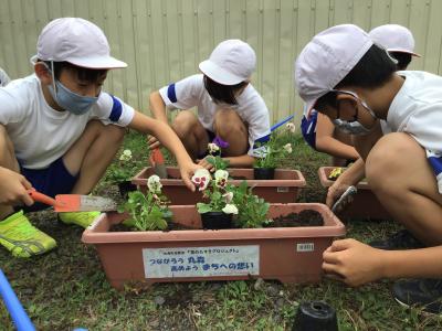 植え替えの様子3