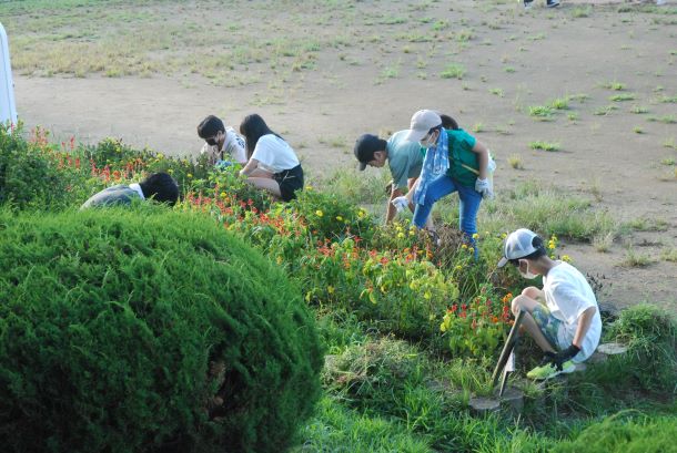 奉仕作業（校庭の除草作業）