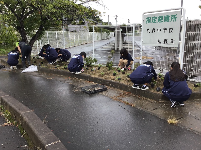 ビオラ（苗は伊具高校から提供）を植えました。