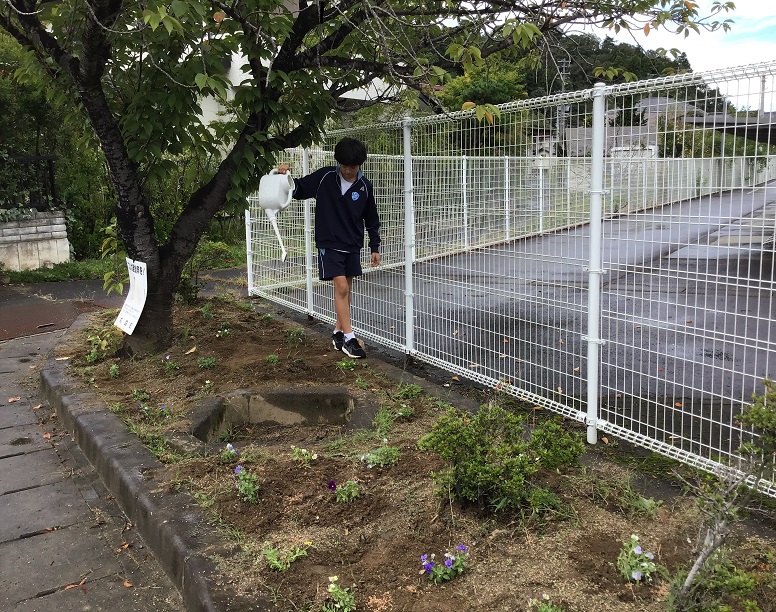 最後に水をかけました。長く咲き続けてほしいです。