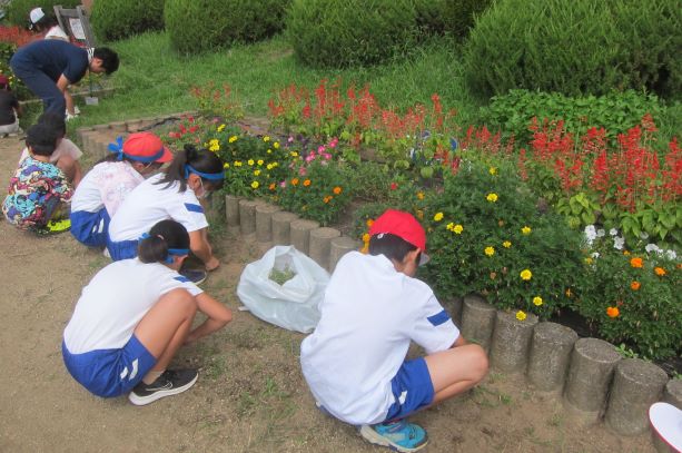 縦割り花壇の除草（２・５年）