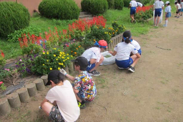 縦割り花壇の除草（２・５年）