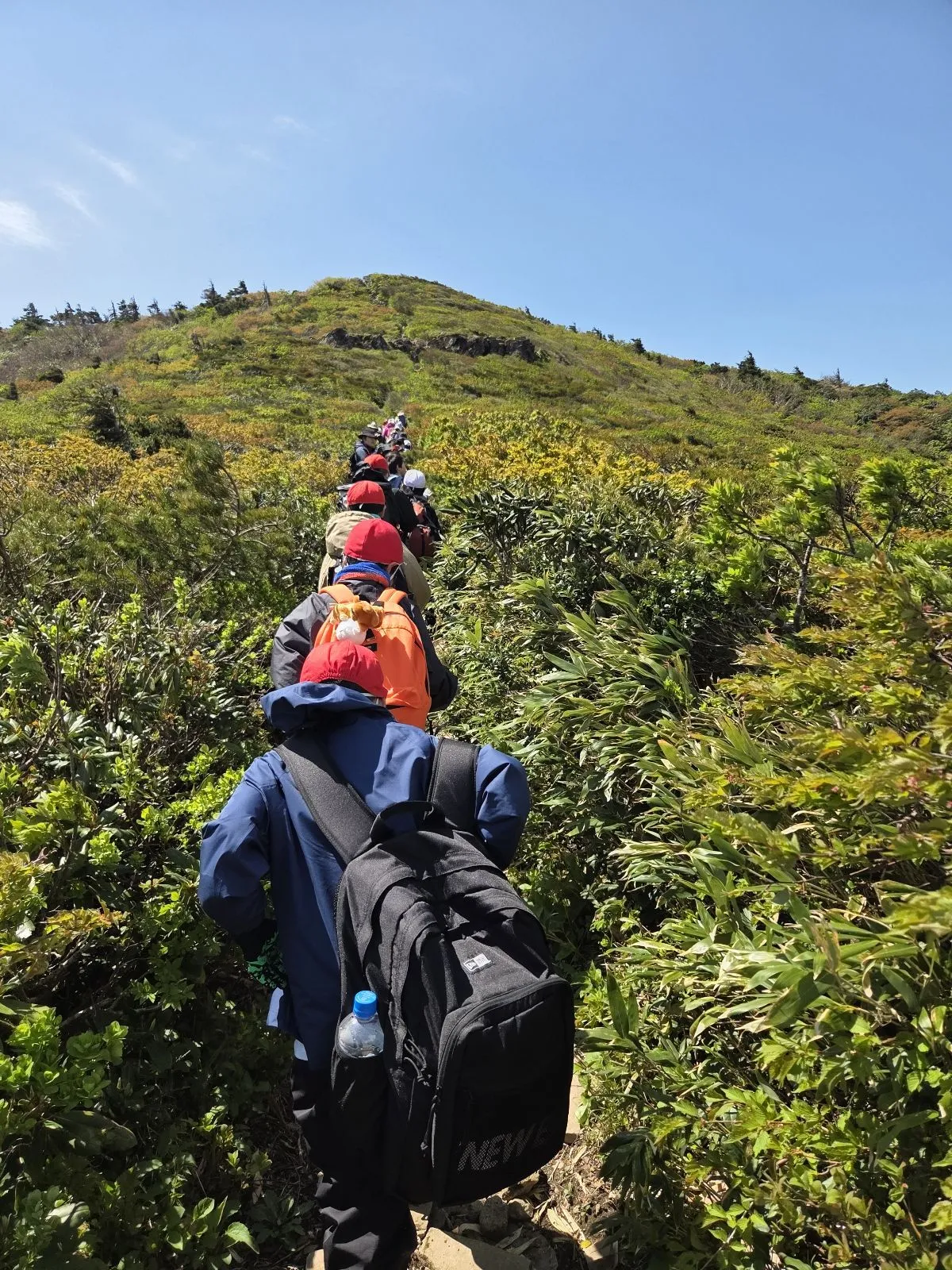 登山１