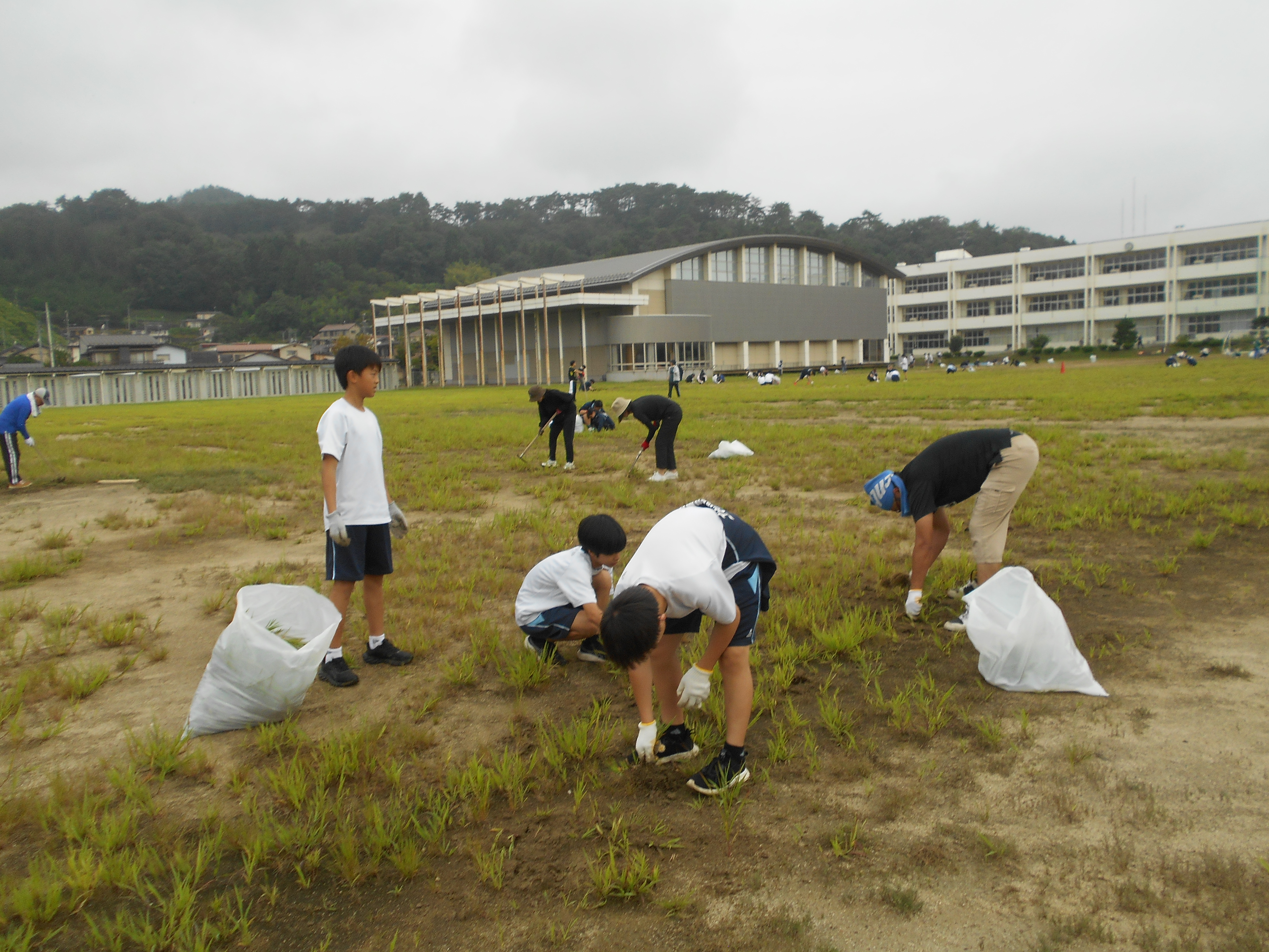 奉仕作業