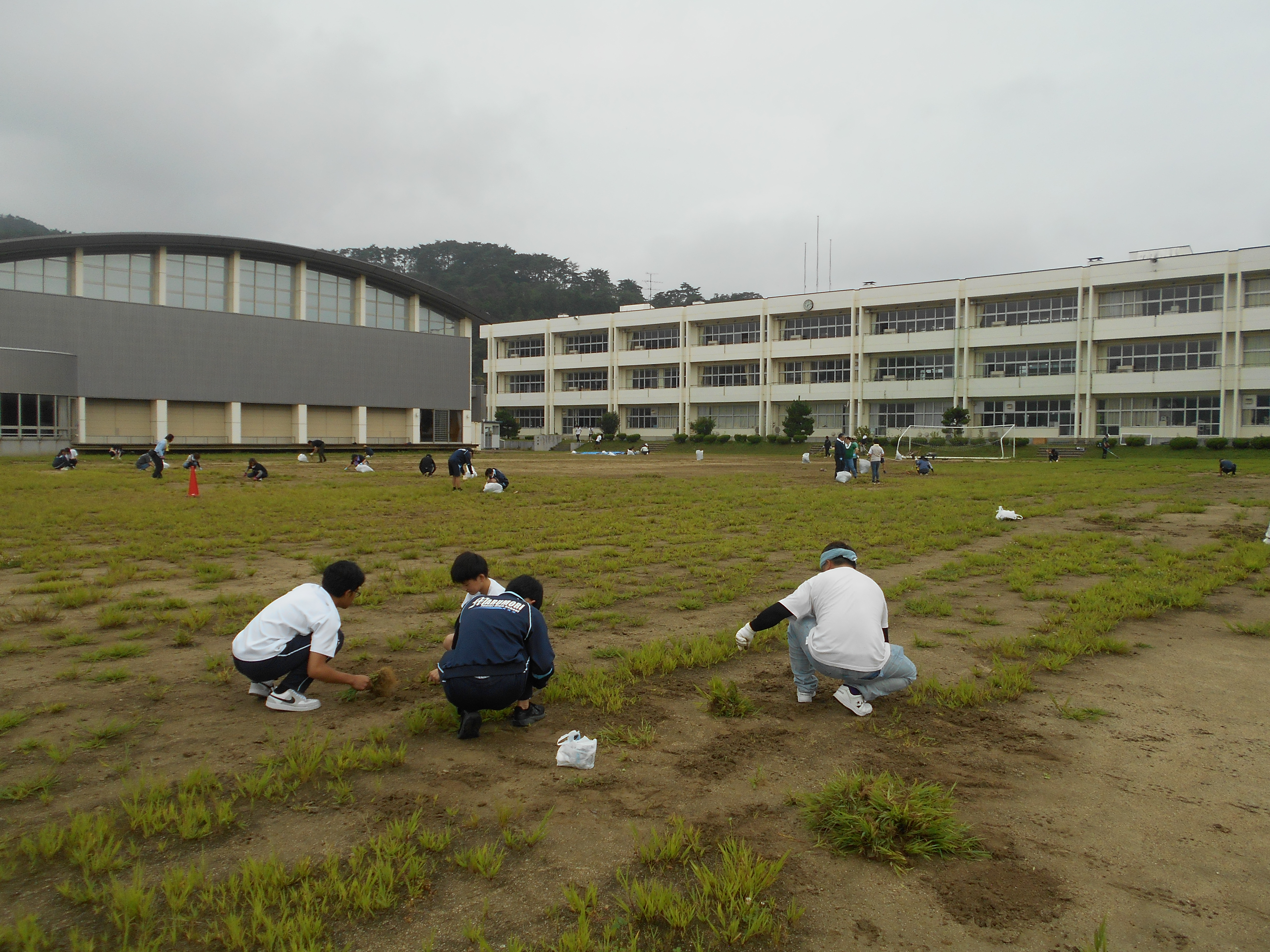 草とり